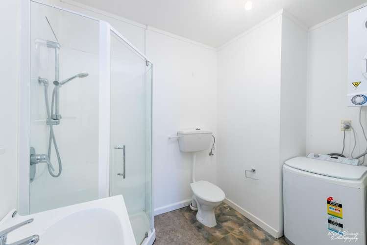 40 Pitt Street Wadestown_28