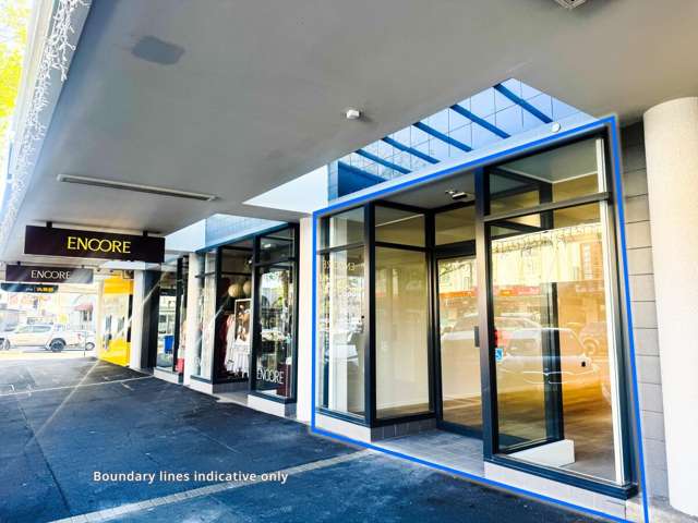 305 Ponsonby Road Ponsonby_2