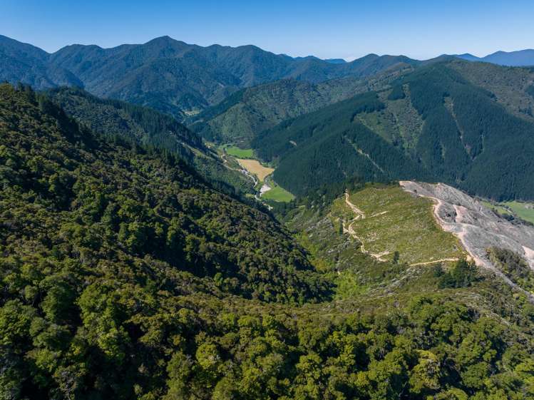 785 Waikakaho Road Tuamarina_38