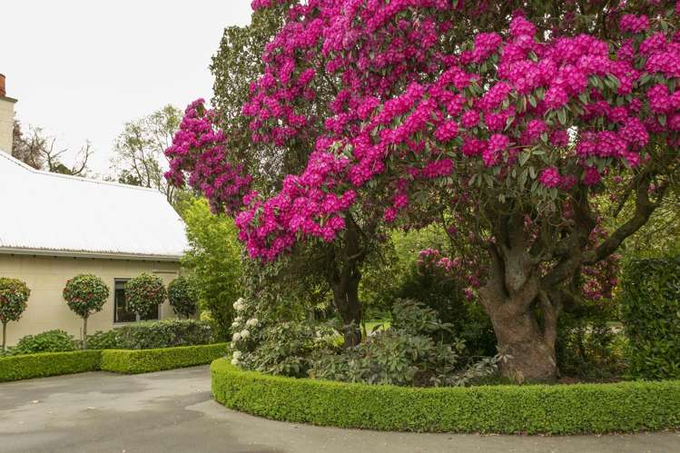 100 Beach Road East Ashburton_49