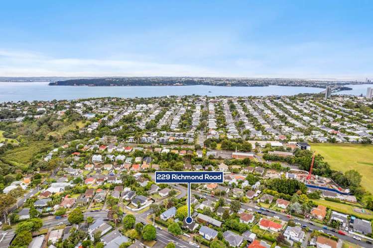 229 Richmond Road Grey Lynn_15