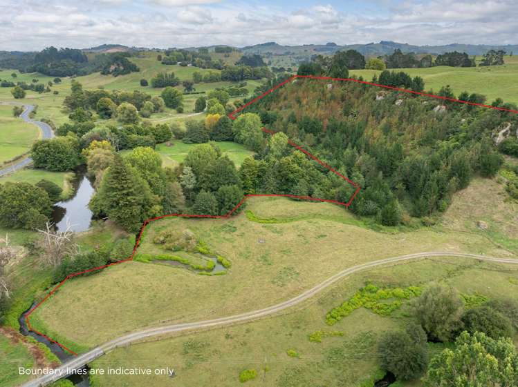 Taotaoroa Road Matamata_6