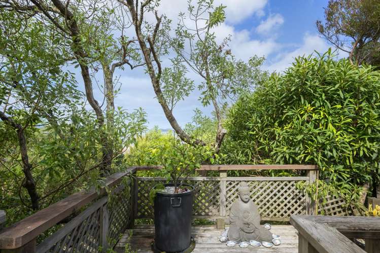 6A Jacaranda Grove Maungaraki_14