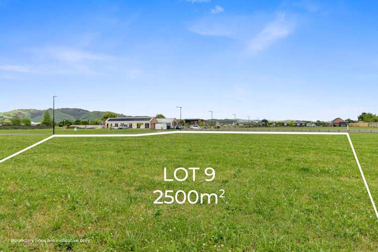 28 and 30 Te Mara Drive Leamington_2