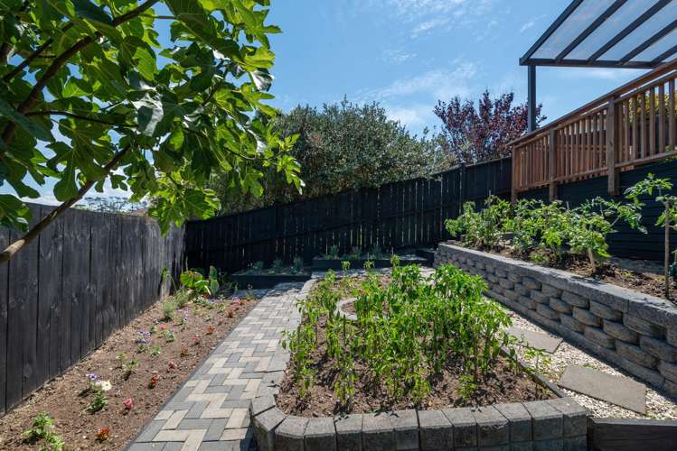 87b Fairview Avenue Fairview Heights_31