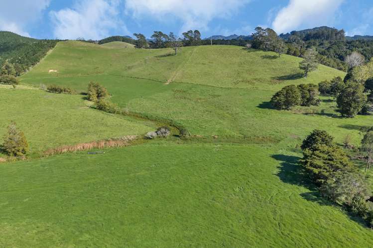 Lot 2 Adams Road Glenbervie_16