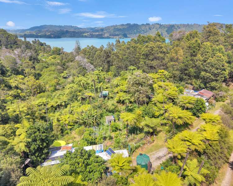 Ohiwa Loop Road Waiotahi_34