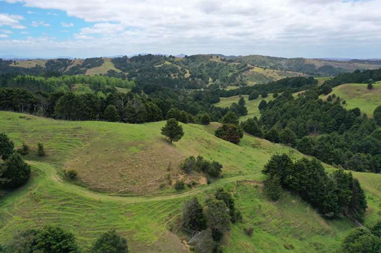 Lot 2/347 Porter Road Paparoa_5