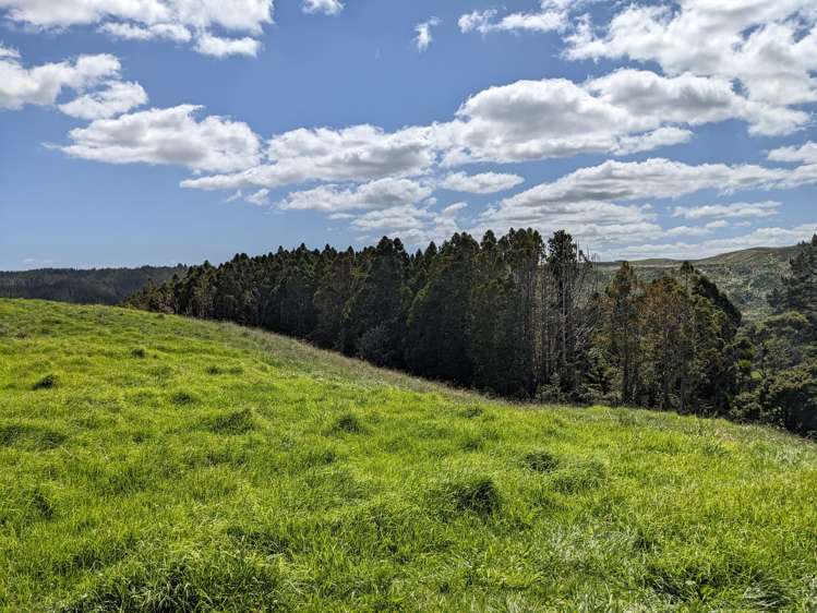 360 Burnside Road Makarau_14