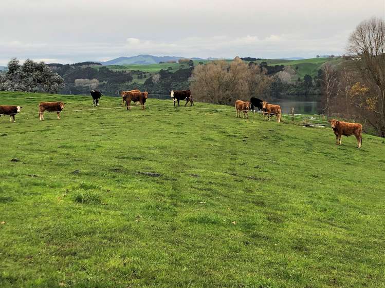 728 Lake Arapuni Road Arapuni_2