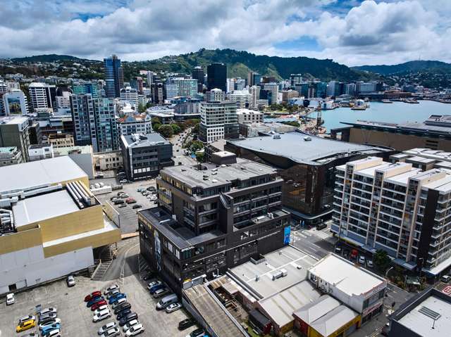 234 Wakefield Street Te Aro_3