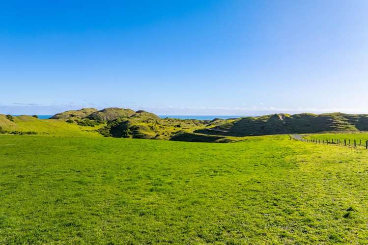Lot 6 Mahuta Road Dargaville_7