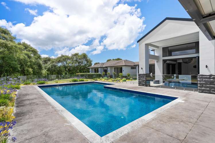 11 Kingscliff Rise Dairy Flat_51