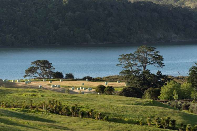 220 Vaughans Road Long Bay_17