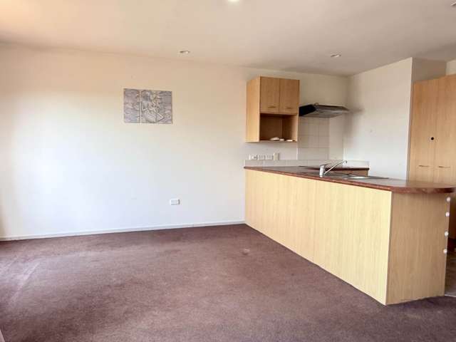 Georgia Terrace Albany_3