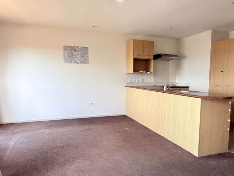 Georgia Terrace Albany_3