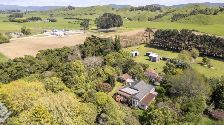 243 Doughertys Road Pahiatua_15