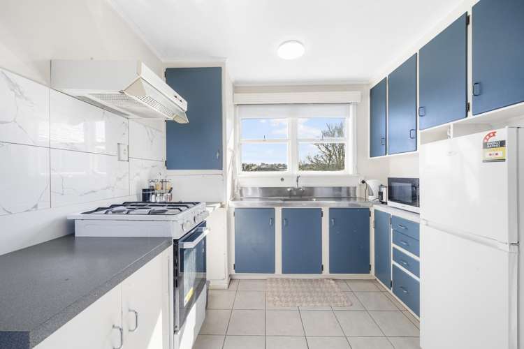 50 Ellis Avenue Mount Roskill_9