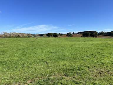 678 Waiuku Road_2