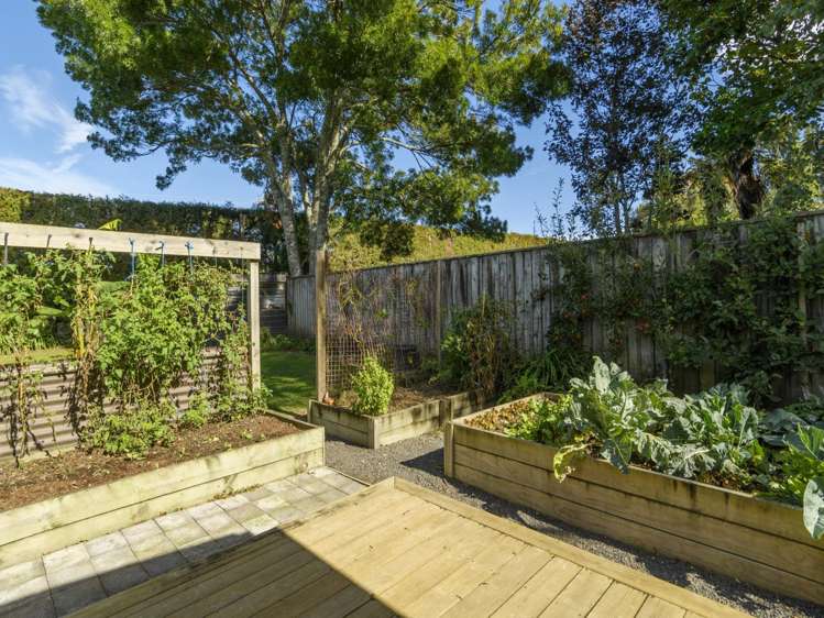 147d Tetley Road Katikati_22