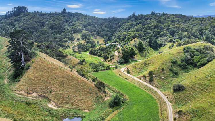 791B White Pine Bush Road Awakeri_6