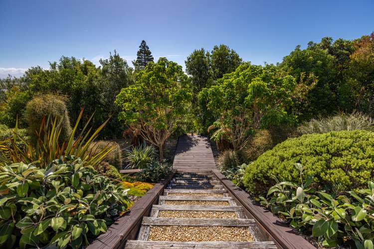 21 Highview Drive Wakatu_16