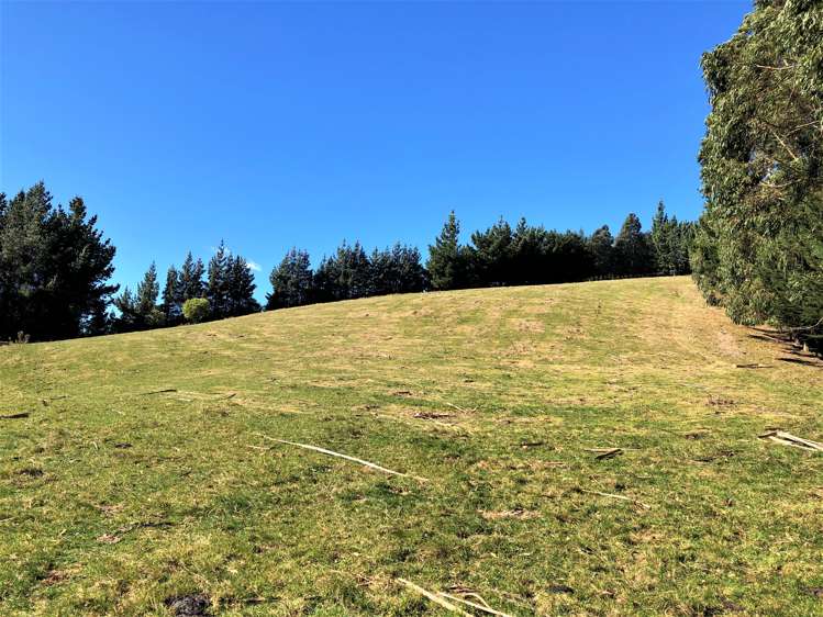 126 Johnston Road Balclutha_9