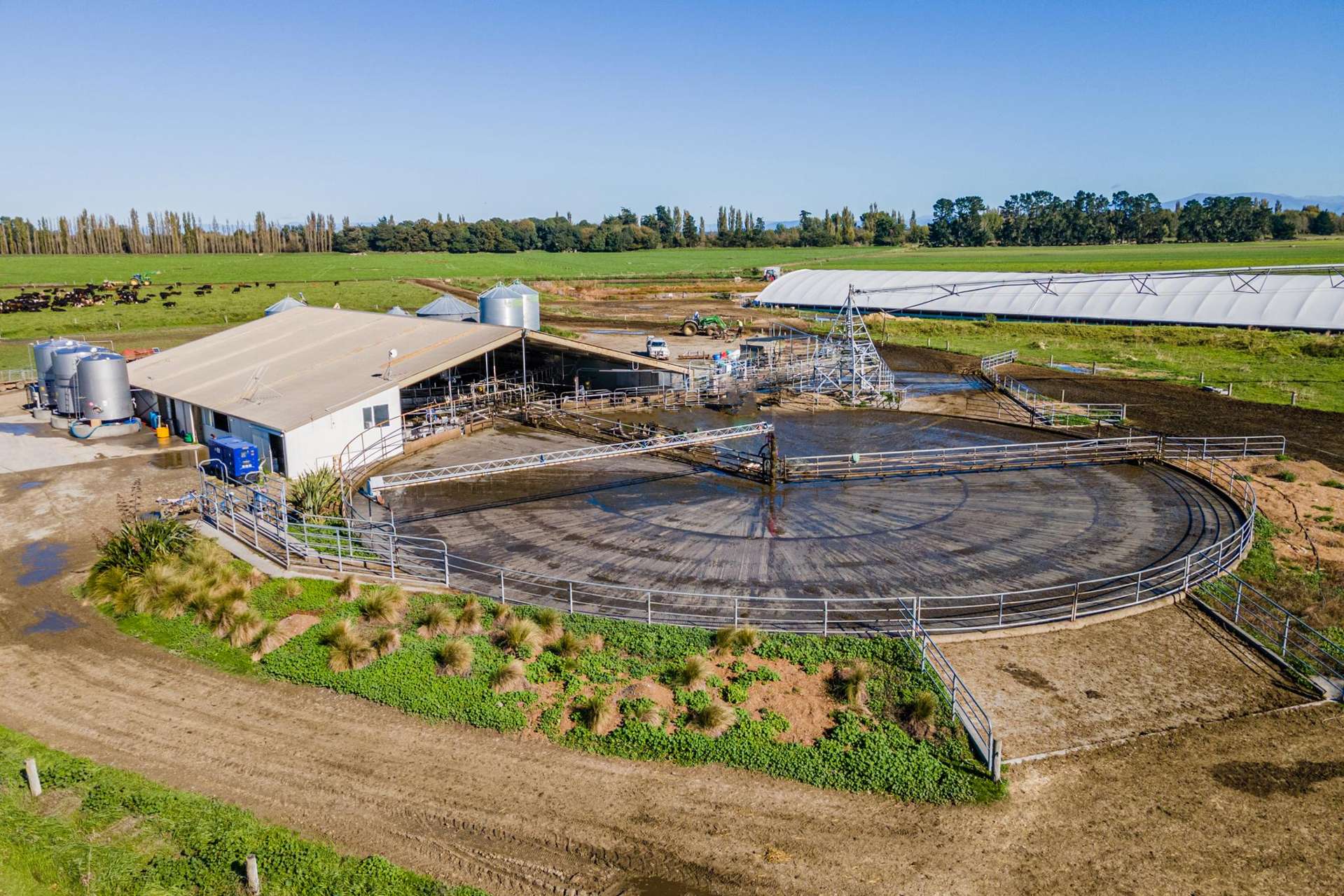 361 Poplar Road Ashburton_0