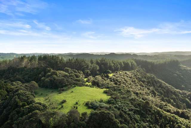 320 Upper Waiwera Road Puhoi_2