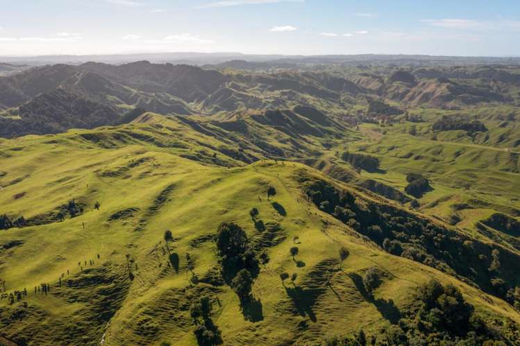 231 Leitch Road Piopio_11