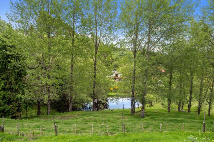 29 Kaitieke Road Owhango_16