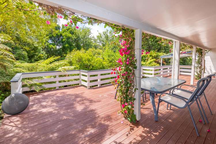 76 Morrinsville Road Hillcrest_6