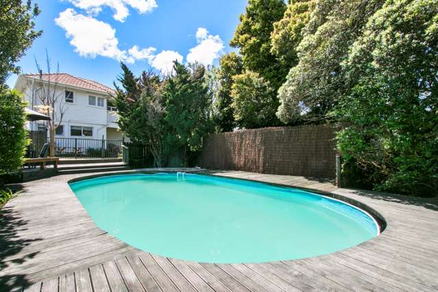 72 Astley Avenue New Lynn_1