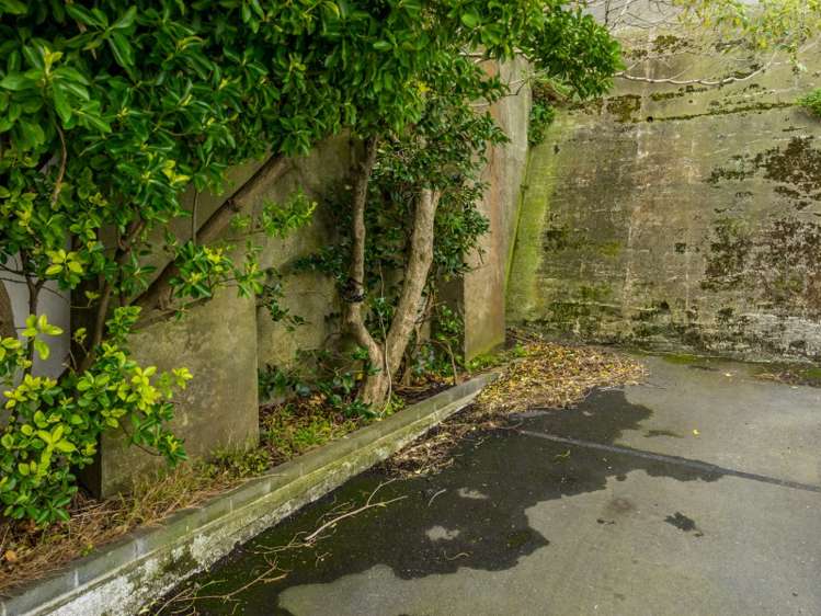 204/131 Brougham Street Mount Victoria_11