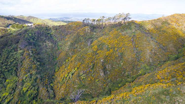 328 Hawkins Hill Road Brooklyn_8