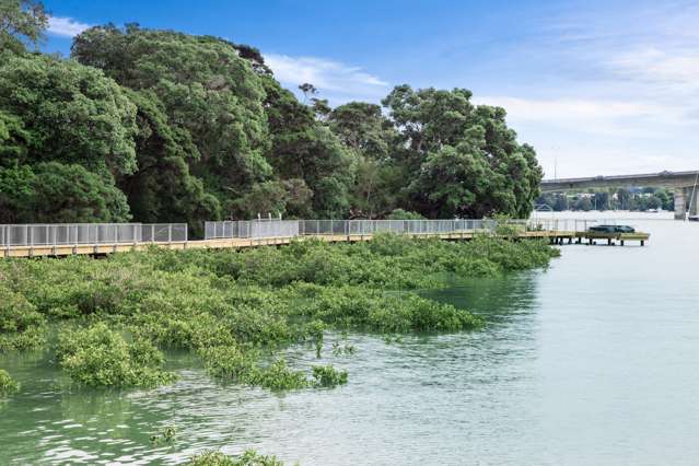 23 Riroriro Road Hobsonville_2