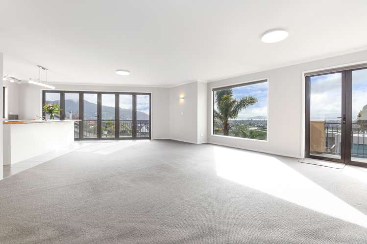 44 Matipo Avenue Westbrook_5