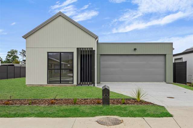 Modern Coastal Living in Kawakawa Bay