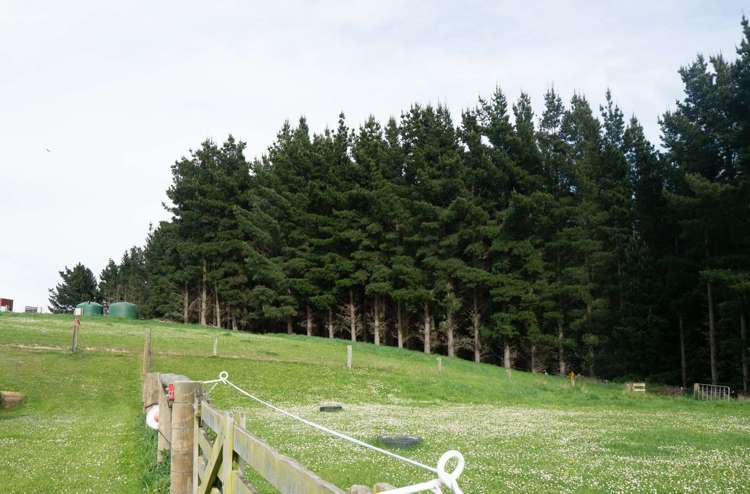 4/445 Palmerston-Dunback Road Palmerston_27