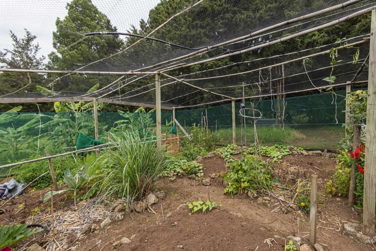 704a Ngunguru Road Glenbervie_16