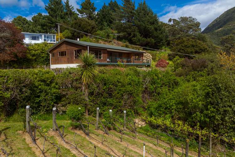 27c Dorset Street Picton_23