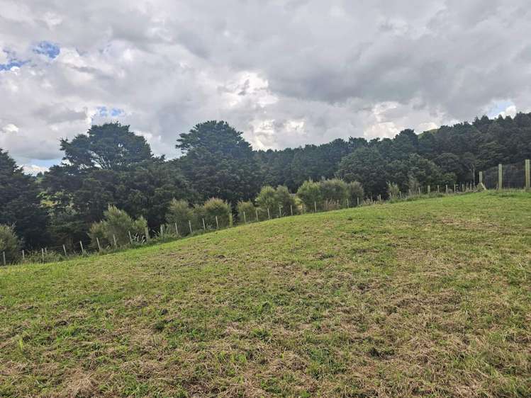 Lot Lot 5 Dodd Road Maungaturoto_7