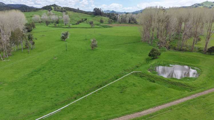 3675 Mangakahia Road Pakotai_19