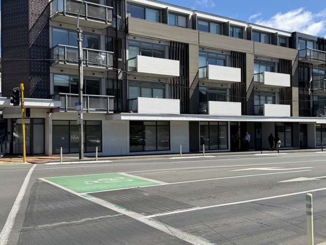 82 Riddiford Street Newtown_1