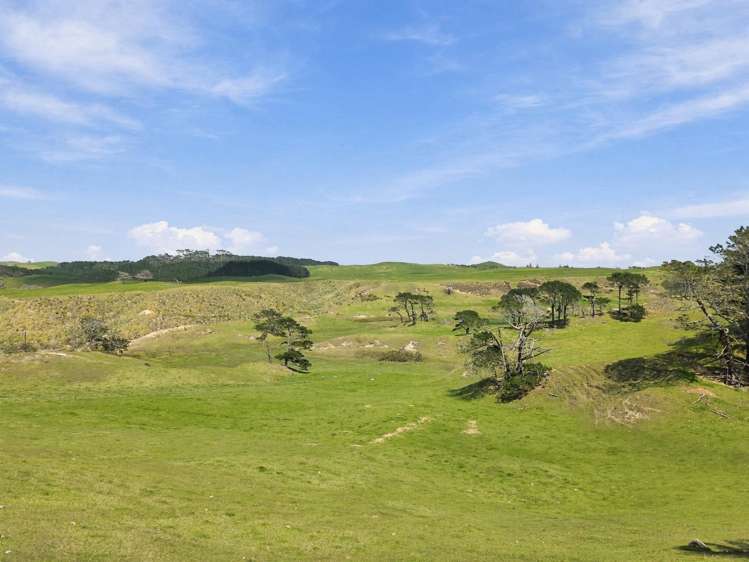 Mount Wesley Coast Road Dargaville_4
