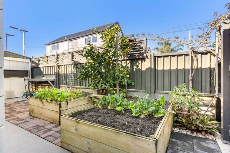 111b Seventeenth Avenue Tauranga South_22