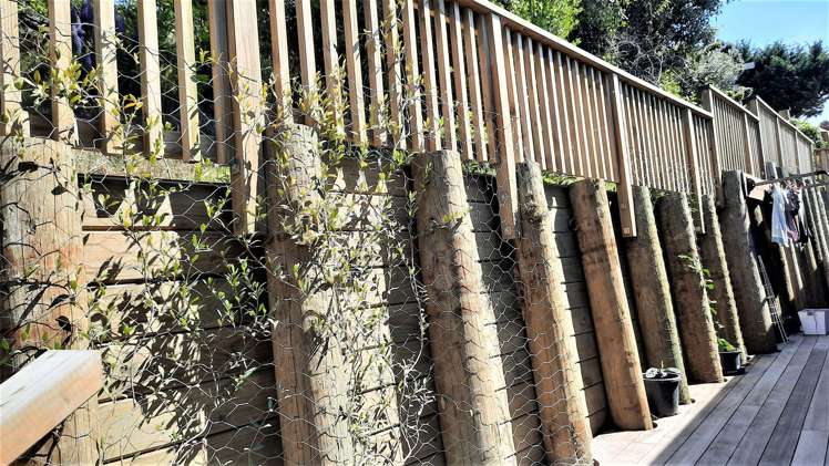 88 Santa Maria Avenue Mount Pleasant_22