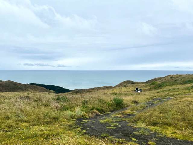 2/685 Karioitahi Road Waiuku_4