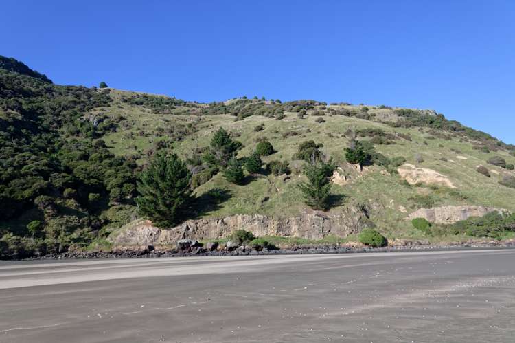 115 Dalglishs Road Le Bons Bay_13