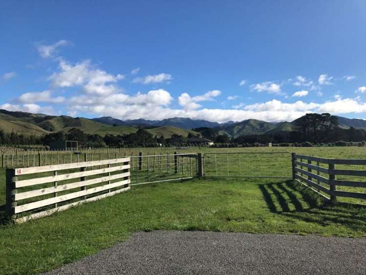 881e Norfolk Road Upper Plain_3